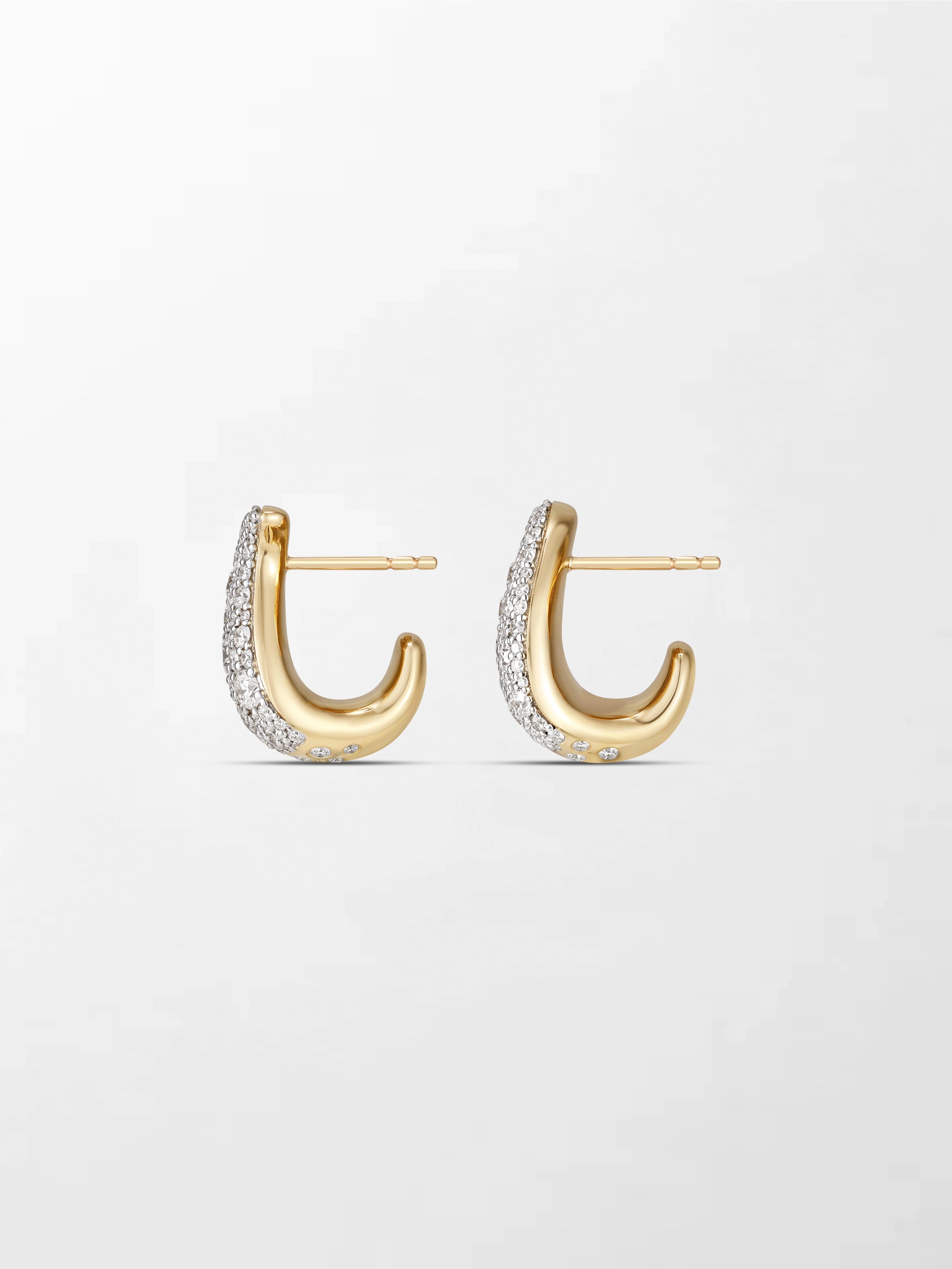 Split Flick Earrings