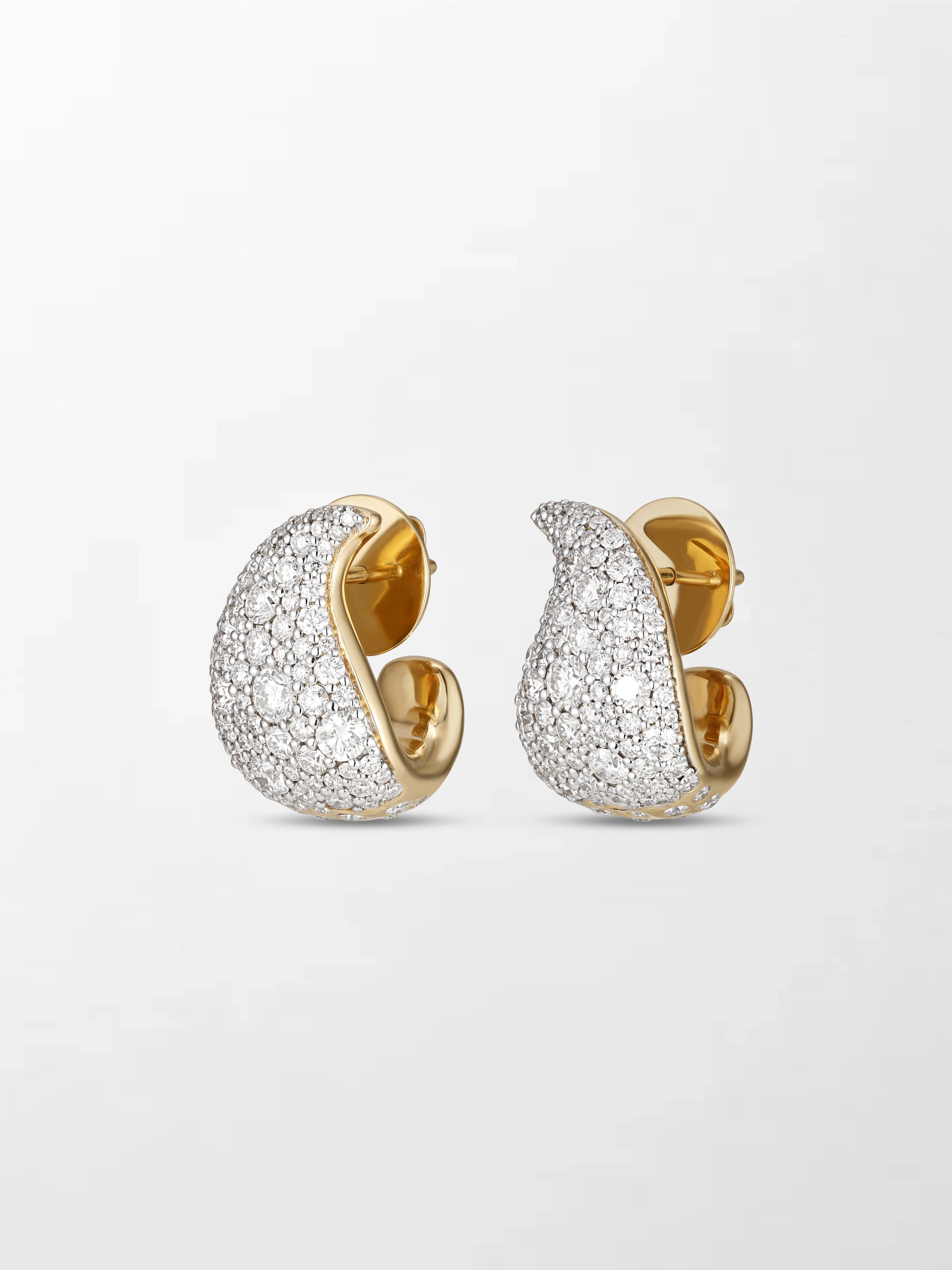Split Flick Earrings
