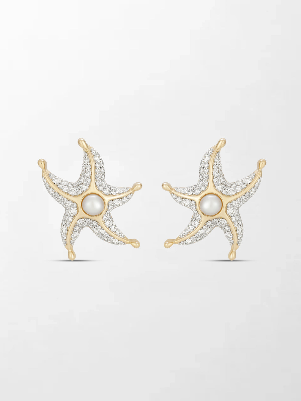 Sea Star Earrings