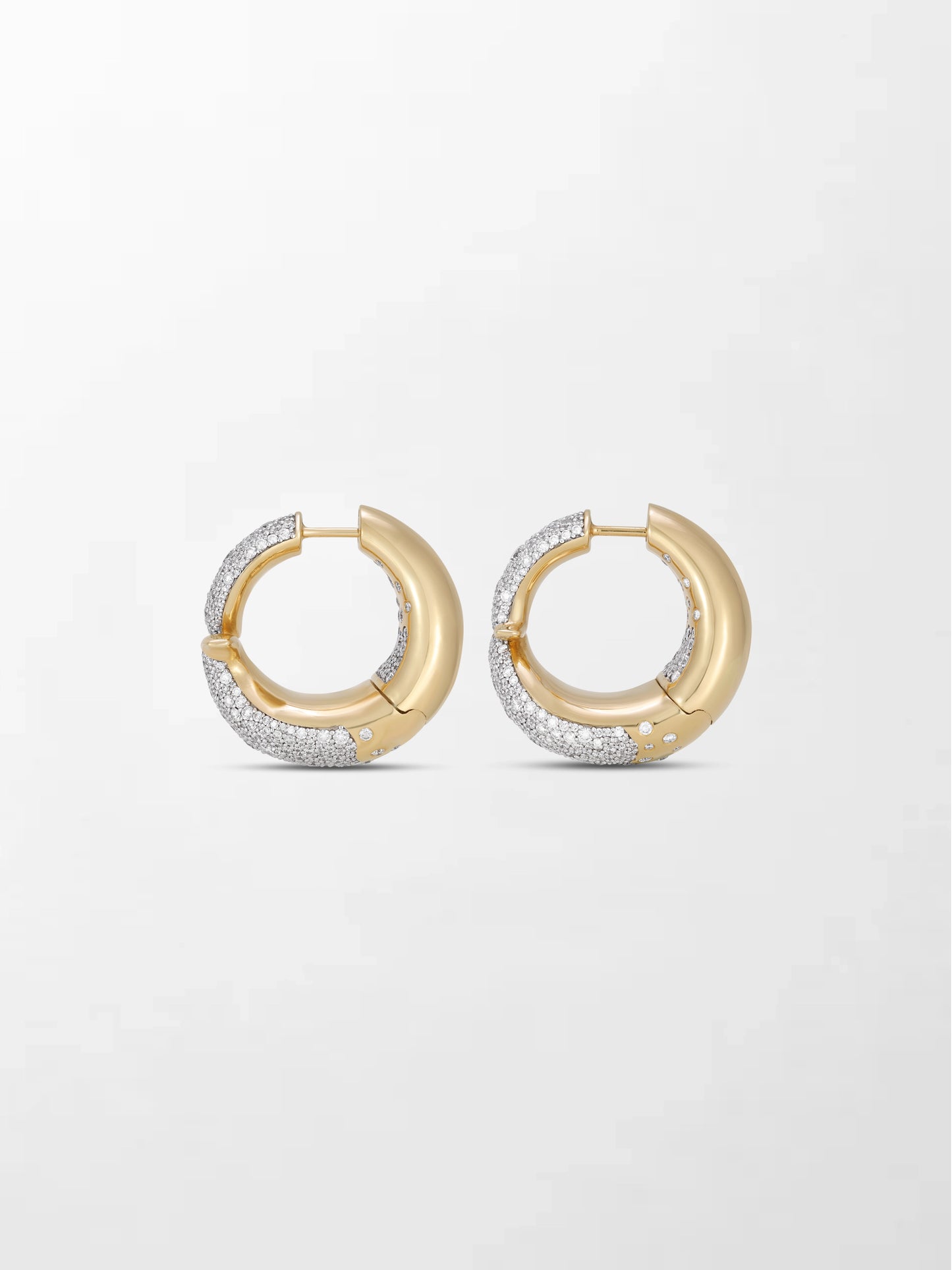 Bold Flick Earring