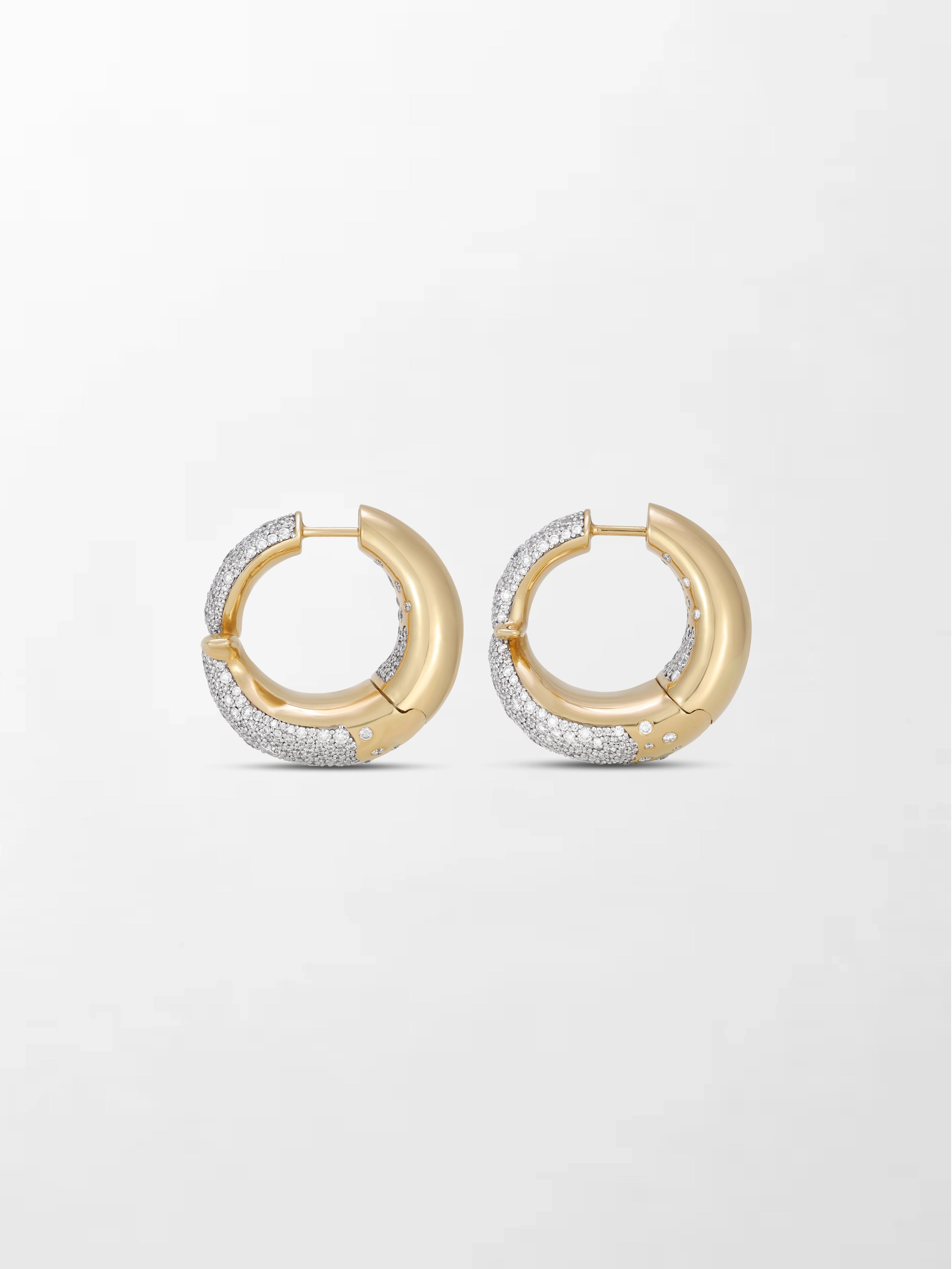 Bold Flick Earring