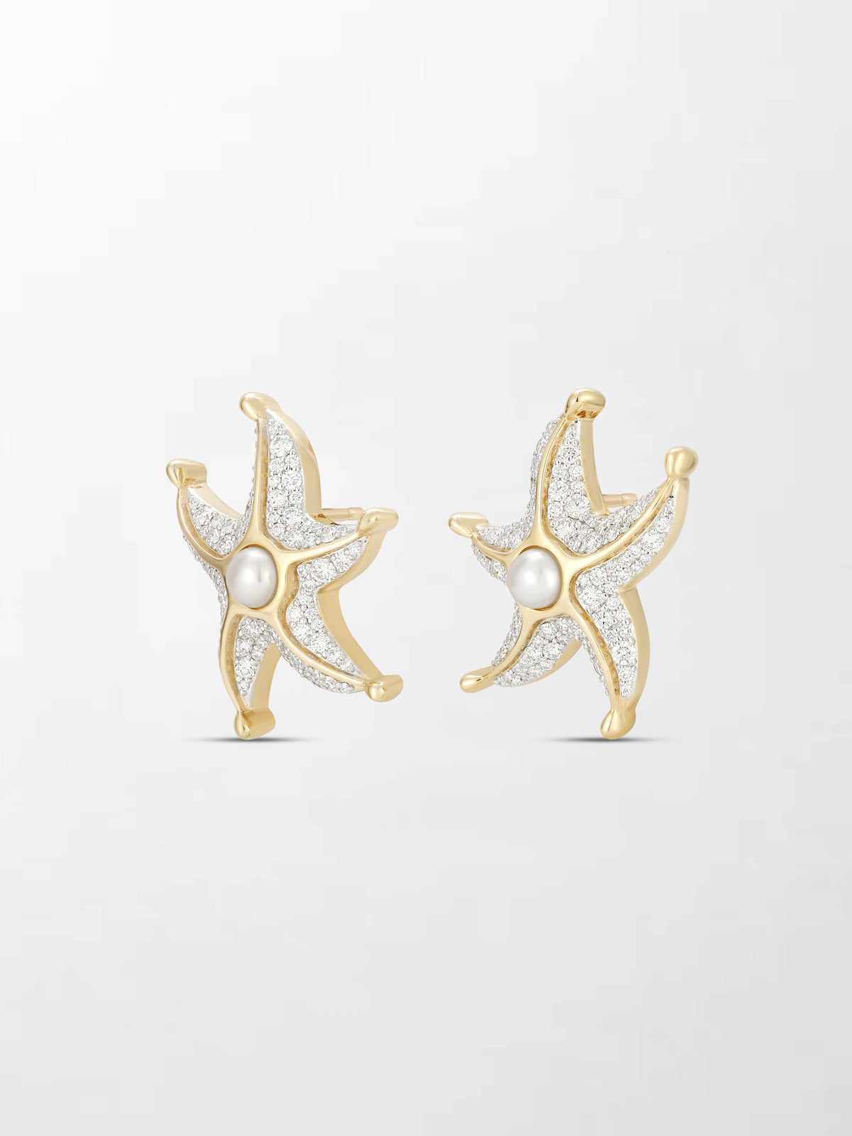 Sea Star Earrings