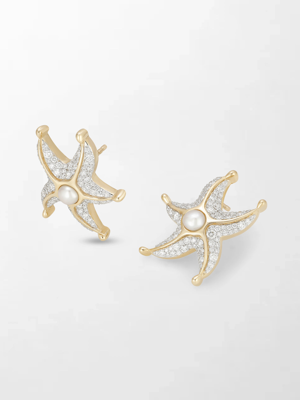 Sea Star Earrings