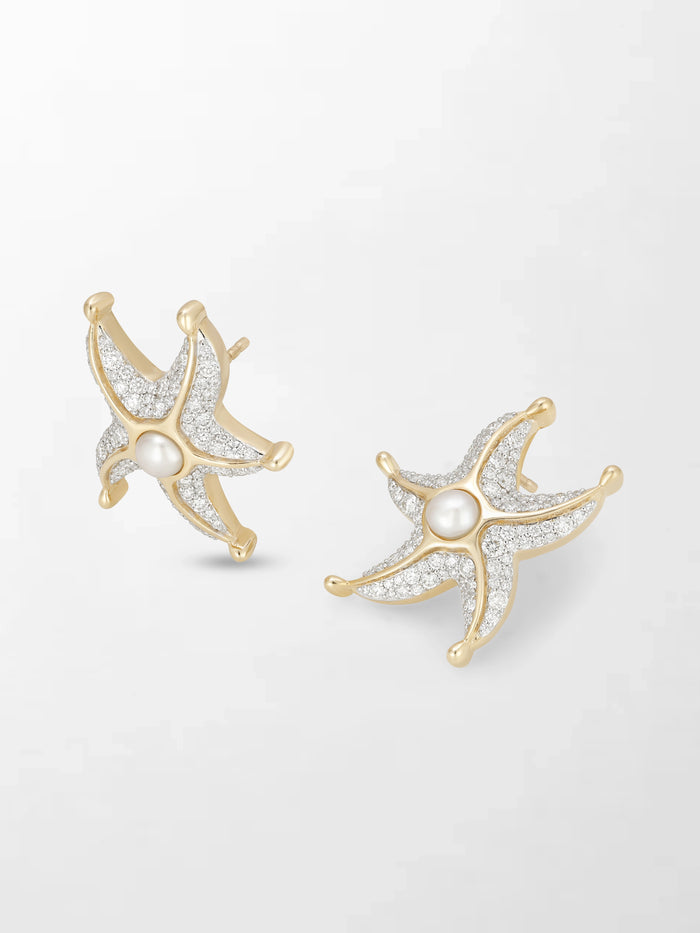 Sea Star Earrings